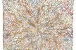 Varvara Stepanova | MoMA